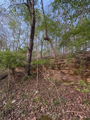 139 Palasade Court, Forsyth, MO 65653