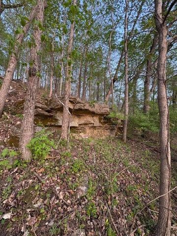 139 Palasade Court, Forsyth, MO 65653