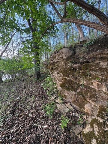139 Palasade Court, Forsyth, MO 65653