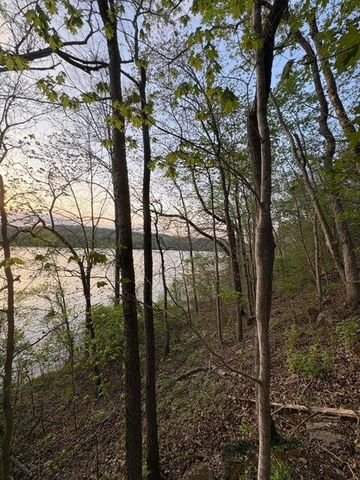 139 Palasade Court, Forsyth, MO 65653