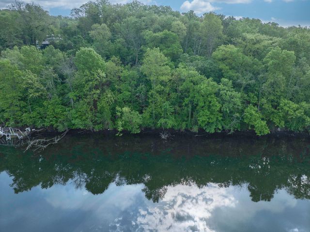 139 Palasade Court, Forsyth, MO 65653