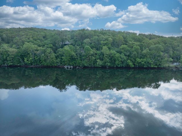 139 Palasade Court, Forsyth, MO 65653