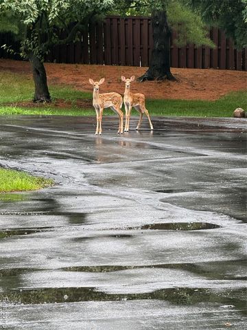 571 Park Place, Saline, MI 48176