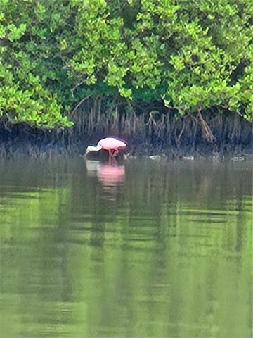 5694 OAKHURST DRIVE, Seminole, FL 33772