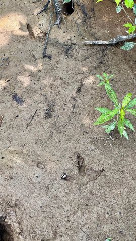 Off State Road 66, Newburgh, IN 47630