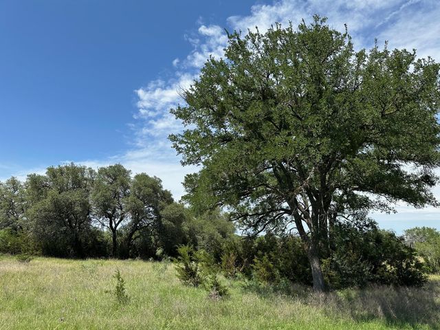 23 acres County Road 330, Bertram, TX 78605