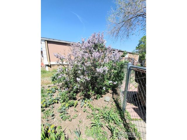 420 E 57th St 163, Loveland, CO 80538