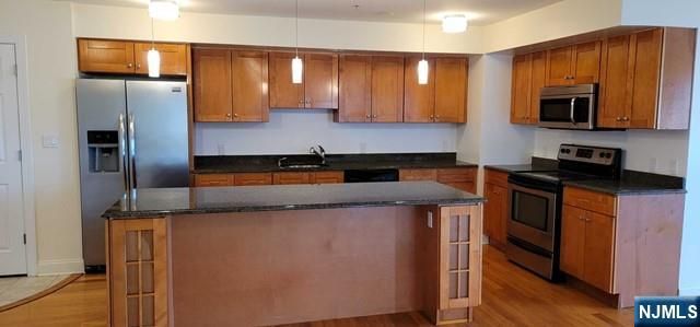 411 E Brinkerhoff Avenue 204, Palisades Park, NJ 07650