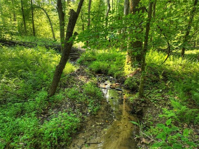 279 Shallow Water Trail, Talking Rock, GA 30175