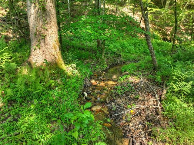 279 Shallow Water Trail, Talking Rock, GA 30175