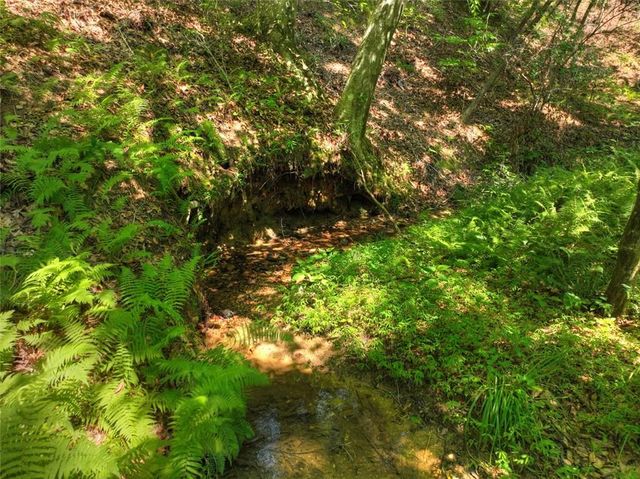 279 Shallow Water Trail, Talking Rock, GA 30175
