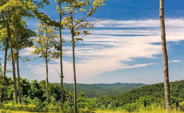 279 Shallow Water Trail, Talking Rock, GA 30175