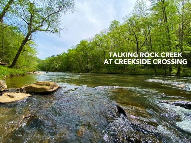 279 Shallow Water Trail, Talking Rock, GA 30175