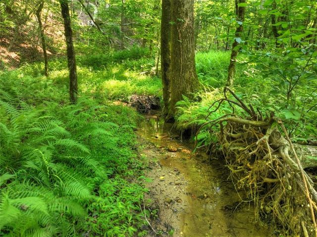 279 Shallow Water Trail, Talking Rock, GA 30175