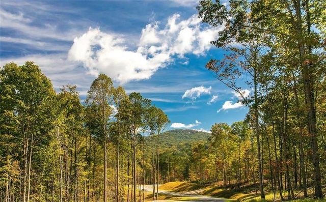 279 Shallow Water Trail, Talking Rock, GA 30175