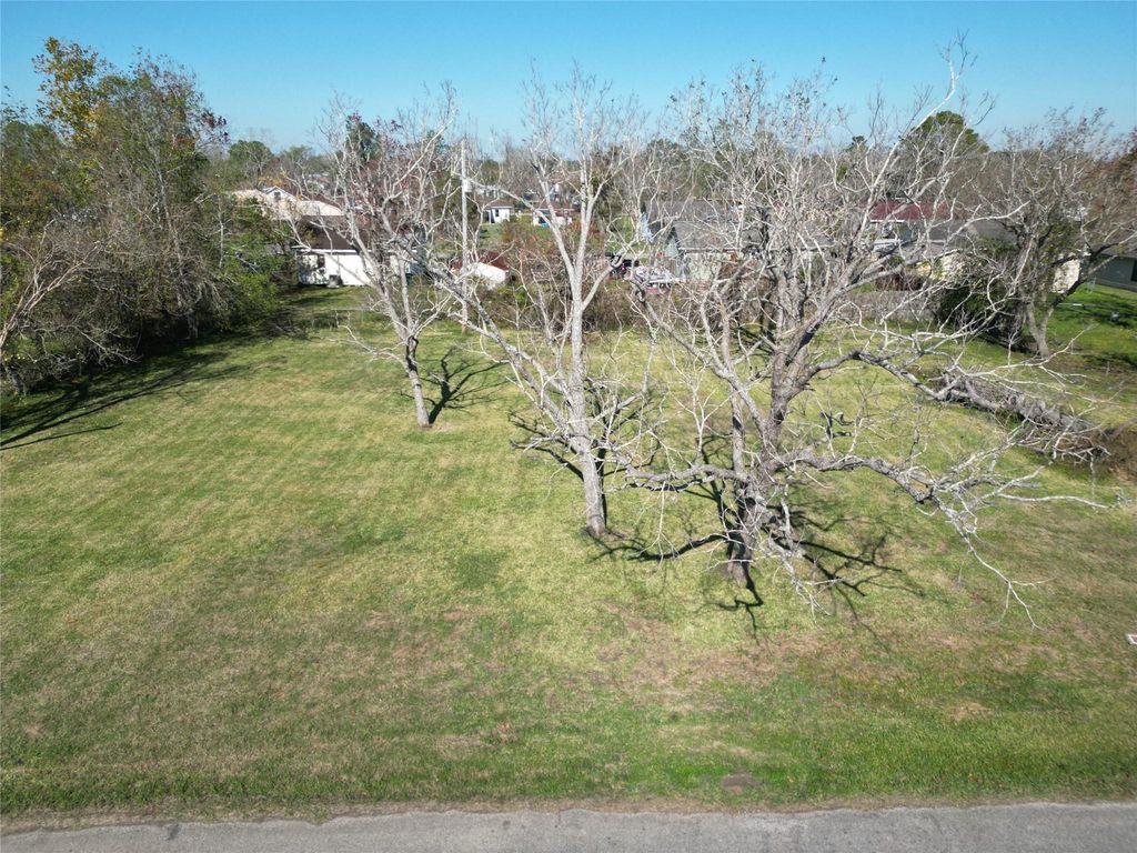 409 Carlton Street, Brazoria, TX 77422