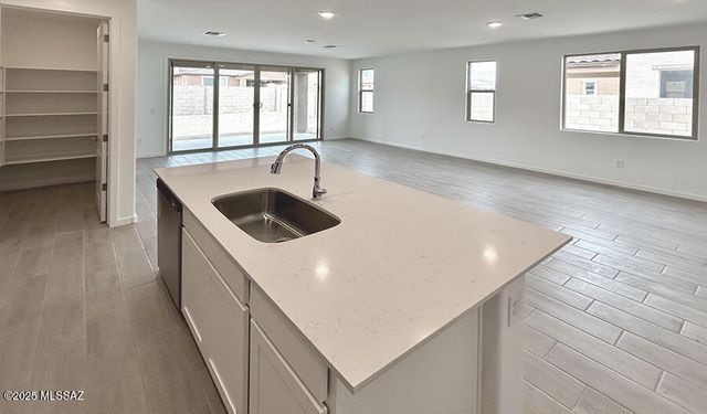 10636 W Walker Brown Drive, Marana, AZ 85653