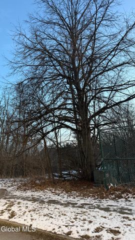 575 Lark Drive, Albany, NY 12210