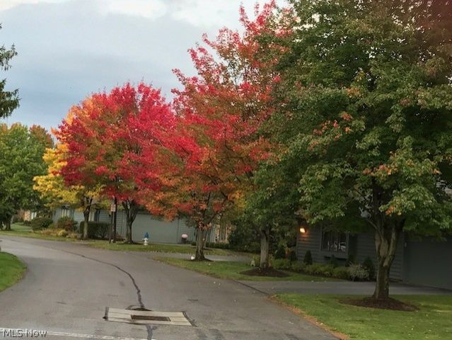 4 Chelsea Court, Beachwood, OH 44122