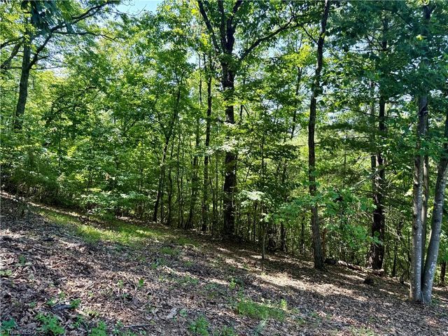 900 Smokey Mtn Trail, North Wilkesboro, NC 28659