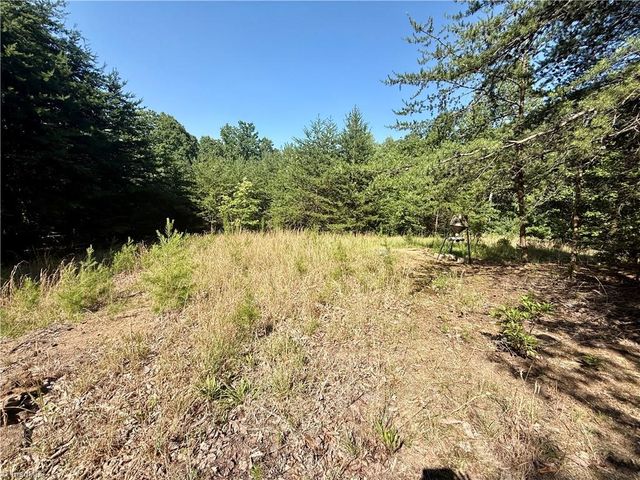 900 Smokey Mtn Trail, North Wilkesboro, NC 28659