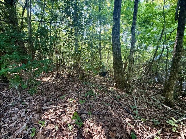 900 Smokey Mtn Trail, North Wilkesboro, NC 28659