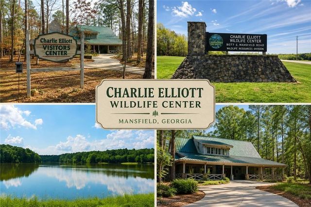 160 Loyd Road, Mansfield, GA 30055