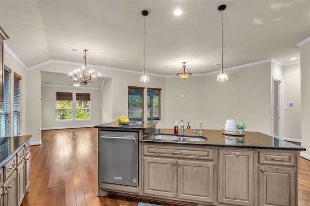 118 Gray Vervain Court, Montgomery, TX 77316