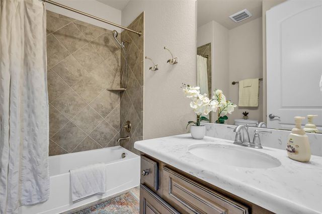 118 Gray Vervain Court, Montgomery, TX 77316