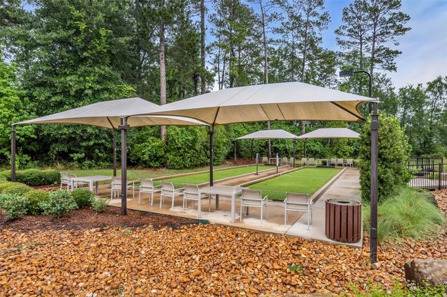 118 Gray Vervain Court, Montgomery, TX 77316