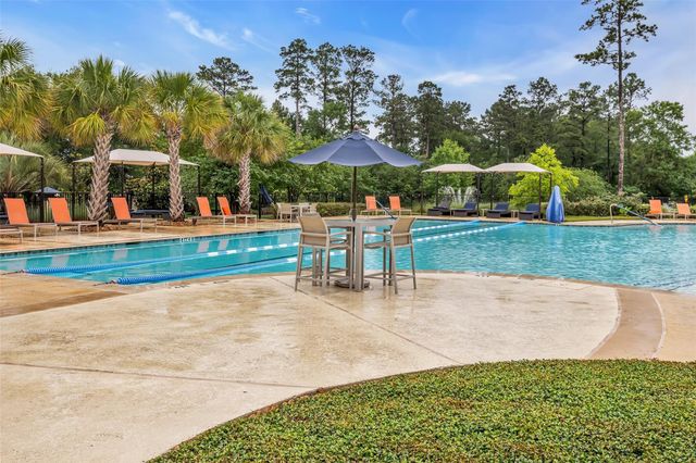 118 Gray Vervain Court, Montgomery, TX 77316