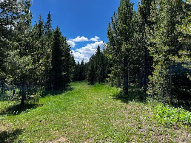 10000 Forest Rd 169, Red Feather Lakes, CO 80545