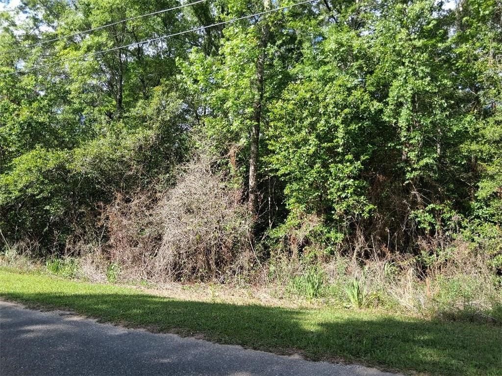 3849 Carr Lane, Wilmer, AL 36587 — photo 3