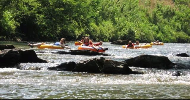 490 Beaver Dam Road, Dahlonega, GA 30533