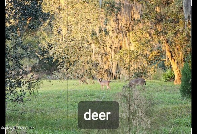 3175 RAVINES Road 3702, Middleburg, FL 32068