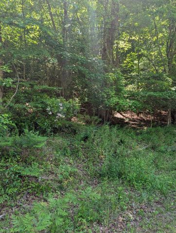 00 Talc Mine Road, Murphy, NC 28906