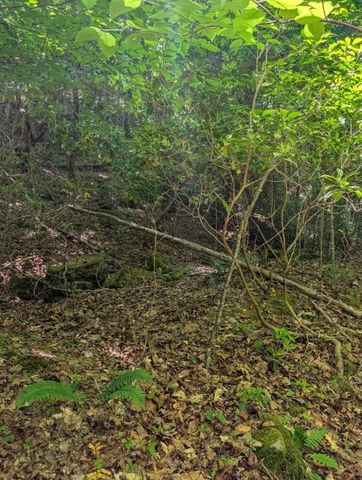 00 Talc Mine Road, Murphy, NC 28906