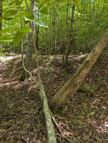 00 Talc Mine Road, Murphy, NC 28906