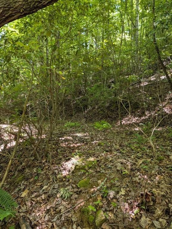 00 Talc Mine Road, Murphy, NC 28906