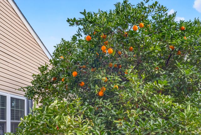 551 Castle Hall Road, Mount Pleasant, SC 29464