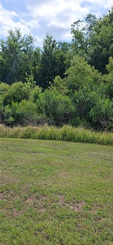32926 KALOKO ROAD, Wesley Chapel, FL 33543
