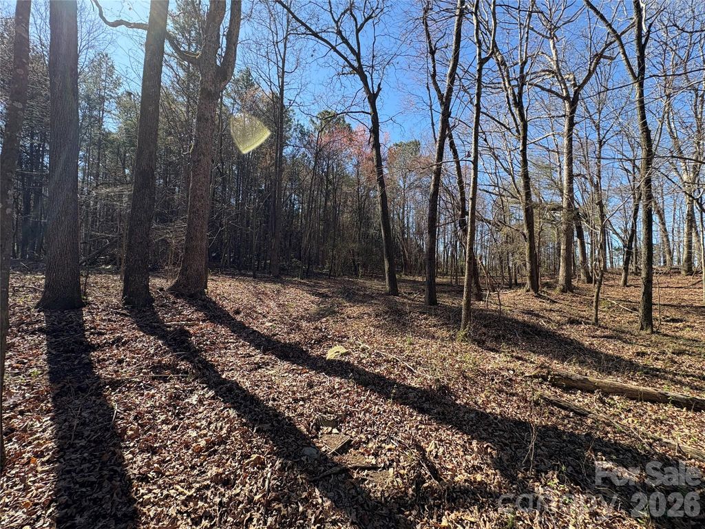1417 Ellis Griffin Road, Wingate, NC 28174