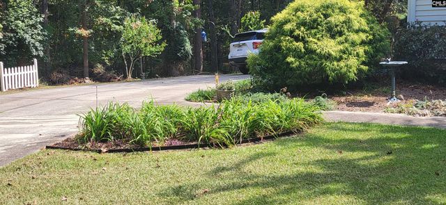 205 Sim Johnson Road, Gilbert, SC 29054