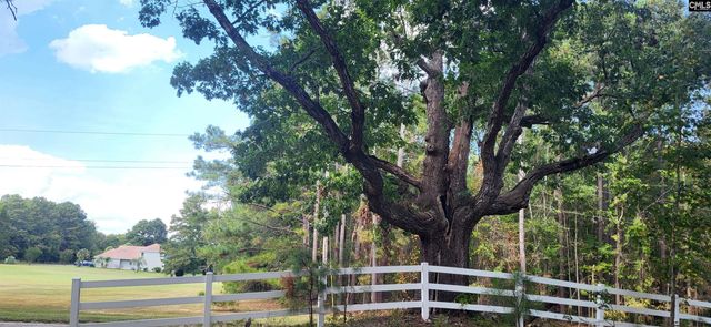 205 Sim Johnson Road, Gilbert, SC 29054