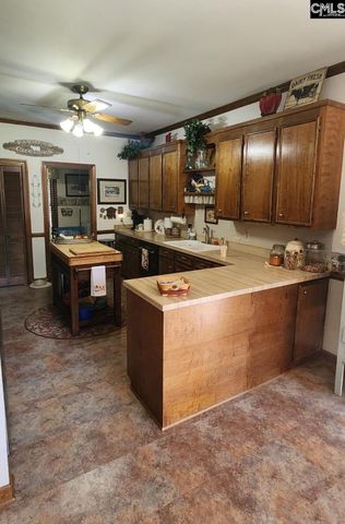 205 Sim Johnson Road, Gilbert, SC 29054