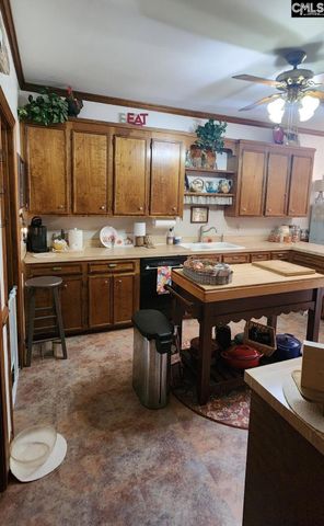 205 Sim Johnson Road, Gilbert, SC 29054