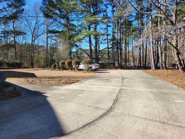 205 Sim Johnson Road, Gilbert, SC 29054