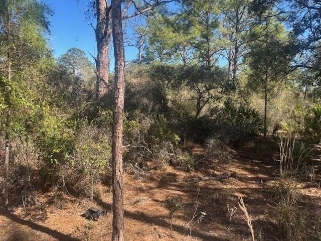 221 Rainbow Drive, Lake Placid, FL 33852