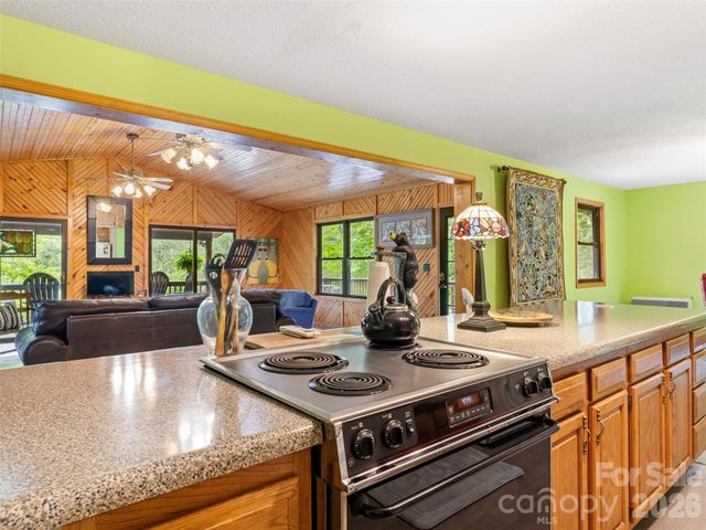 170 Mountain Farm Road, Burnsville, NC 28714
