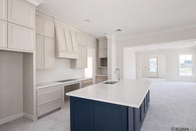 36214 Belle Parc Ave, Geismar, LA 70734